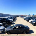 Autozone Auto Parts Dallas Dr